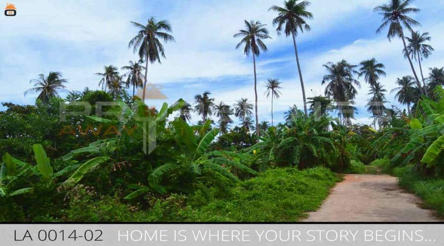 Properties Away 2 Rai Mountain View Land in Koh Samui - Lamai