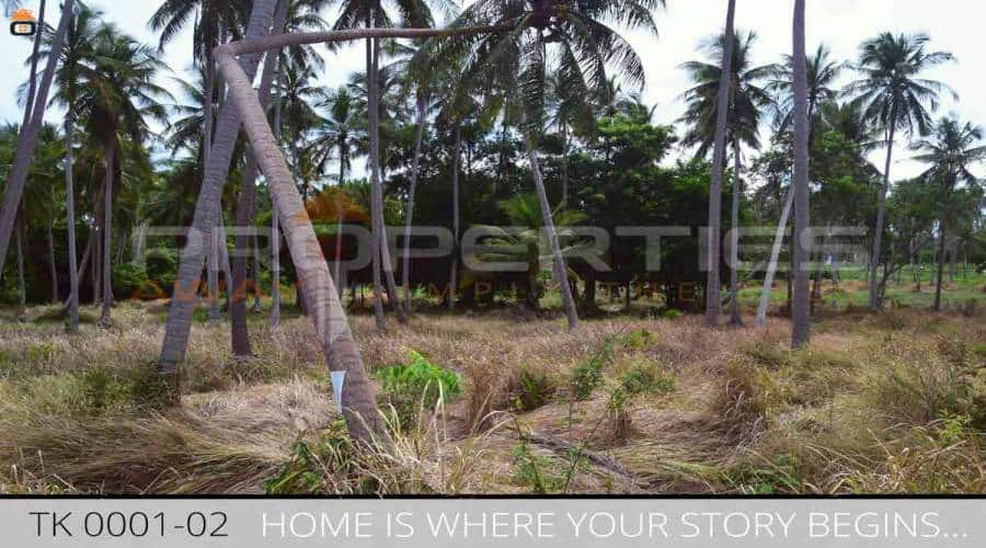 Properties Away 14 Rai Flatland on the Mainroad close to the beach Koh Samui - Thong Khrut