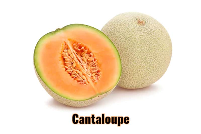 best fruits Thailand cantaloupe.jpg