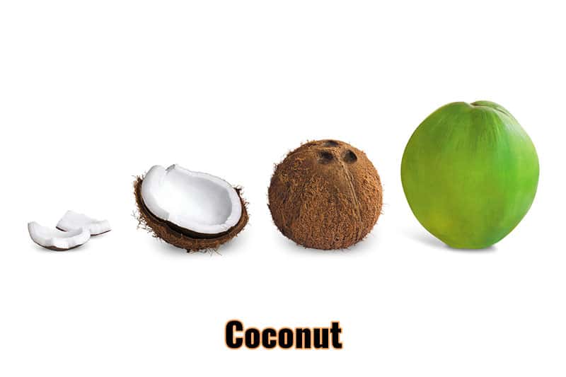 best fruits thailand coconut.jpg