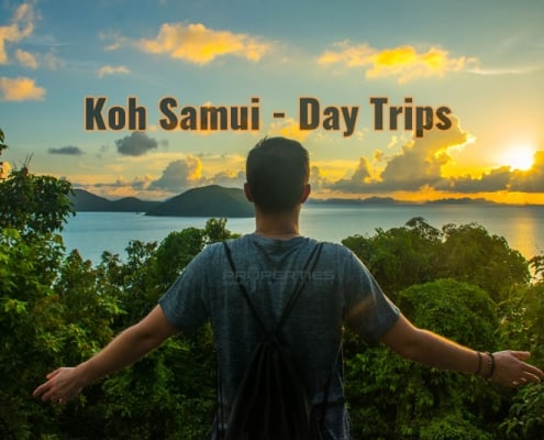 Properties Away Koh Samui Island Day Trips