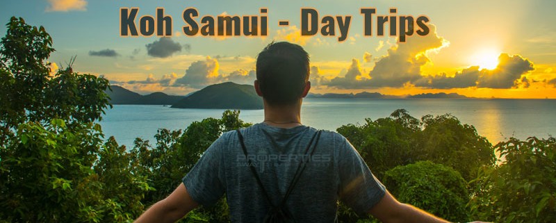 Properties Away Koh Samui Island Day Trips
