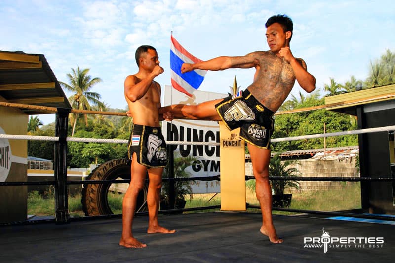 Properties Away Koh Samui Day Trips Muay Thai