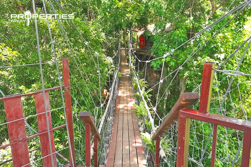 properties_away_secret_places_tree_bridge_coffee